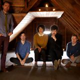 Alterna - The Shins