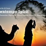 Downtempo Spirit (Compiled By DJ Csom)