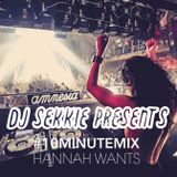 @DJSEKKIE #10MINUTEMIX Hannah Wants