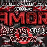RIGAMORTIS New Year Karnival 2015 - Ragga Breaks set by Lady Freedom