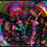 Infected Mushroom & Yahel - Live at Japan
