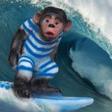 The Surfin' Monkey's Garage Sale of Psychedelic Popsicles