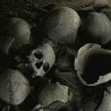 Excavation