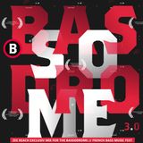 BASSODROME Fest MiniMix 2013 // Only Zee Reach's Tracks!!