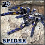 S.P.I.D.E.R Mixtape