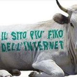 LMD 24 - La Musica DeDentro 7