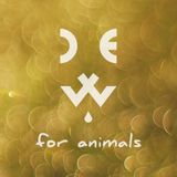 ZIP FM / Dew For Animals / 2016-02-16