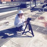 Fiona Ledgard interviews artist Megan Powell about her work with bees and the #AfterTheBees project