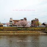 Six feet under the cherry tree