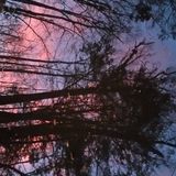 january 2016 mix