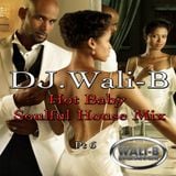 DJ Wali-B Hot Baby!! Soulful House Mix