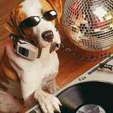 Michael Dog - Planet Dogmix show on Interface Radio 8/1/98
