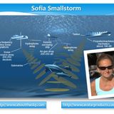 Sofia Smallstorm - Is It Fukushima or The US Navy?