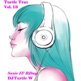 Turtle Trax Vol. 13 - Suzie 15' Bday Edition 432MHz