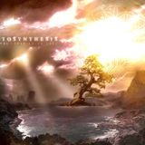 Recorded LIVE @ Photosynthesis 4.0 : 07.25.11 - mixed by Rhines