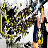 Electro House 2014