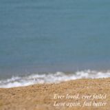 Ever loved, ever failed – Love again, fail better