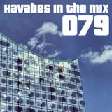 Havabes In The Mix - Episode 079
