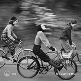 ORGANISMO / 09