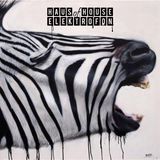 HAUSofHOUSE