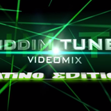 DJ SOLO - RIDDIM TUNES VJ MIX VOL.6 (LATINO EDITION)
