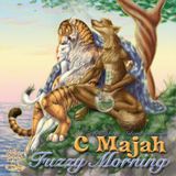 C Majah - Fuzzy Morning (dj set - Feb 2008)