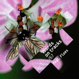 Words On Tracks /67 feat. Floex