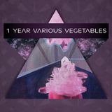 Various Vegetables Podcast #8