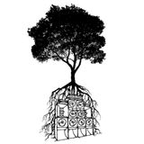 Roots and Culture