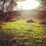 Deepish November