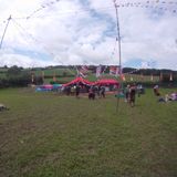 Shifty's 2000 Trees Special 2012