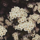 13 of 2013 - Best Music Albums // by Mateusz Ptaszynski