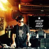 Vini Pistori @ Sailor Goes House 24.05.2015