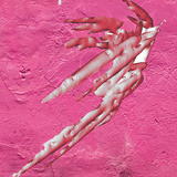 Ƹ̵̡Ӝ̵̨̄Ʒ hood crepe Ƹ̵̡Ӝ̵̨̄Ʒ