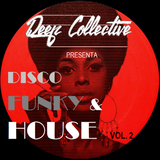 DISCO FUNK & HOUSE VOL. 2