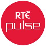 Back2Basics RTE Pulse 5th November, 2014.