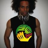 DJ Seth Sharp's World Cup Party Mix (house, dance, hip hop, techno, electro, live mashups)