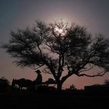 Nomad moon