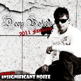 Insignificant Noize - Deep Voices