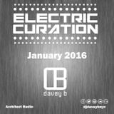 Electric Curation January 2016
