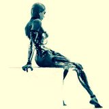 Robot Sex Party