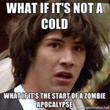 No5: Apocalypse Now