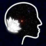 Universal Communique 3|11|14
