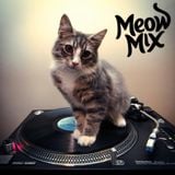 Meow Mix Episode #1
