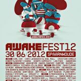 Dave Clarke - Live @ Awakenings Festival, Spaarnwoude, Holanda (30.06.2012)