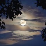 Deep Wax S1 E3 "Spanish Moon"
