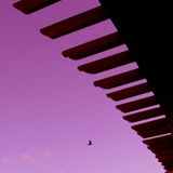 " Going to the unknow " mix olivier 8fevrier2016