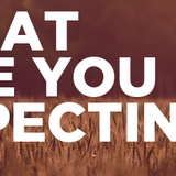Expecting Faith