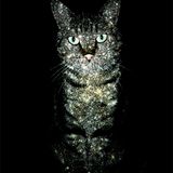 Space and Time feat. Cat Cat and the Best of 2014 (so far) with Megasean
