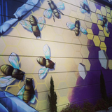 drum & bass bee